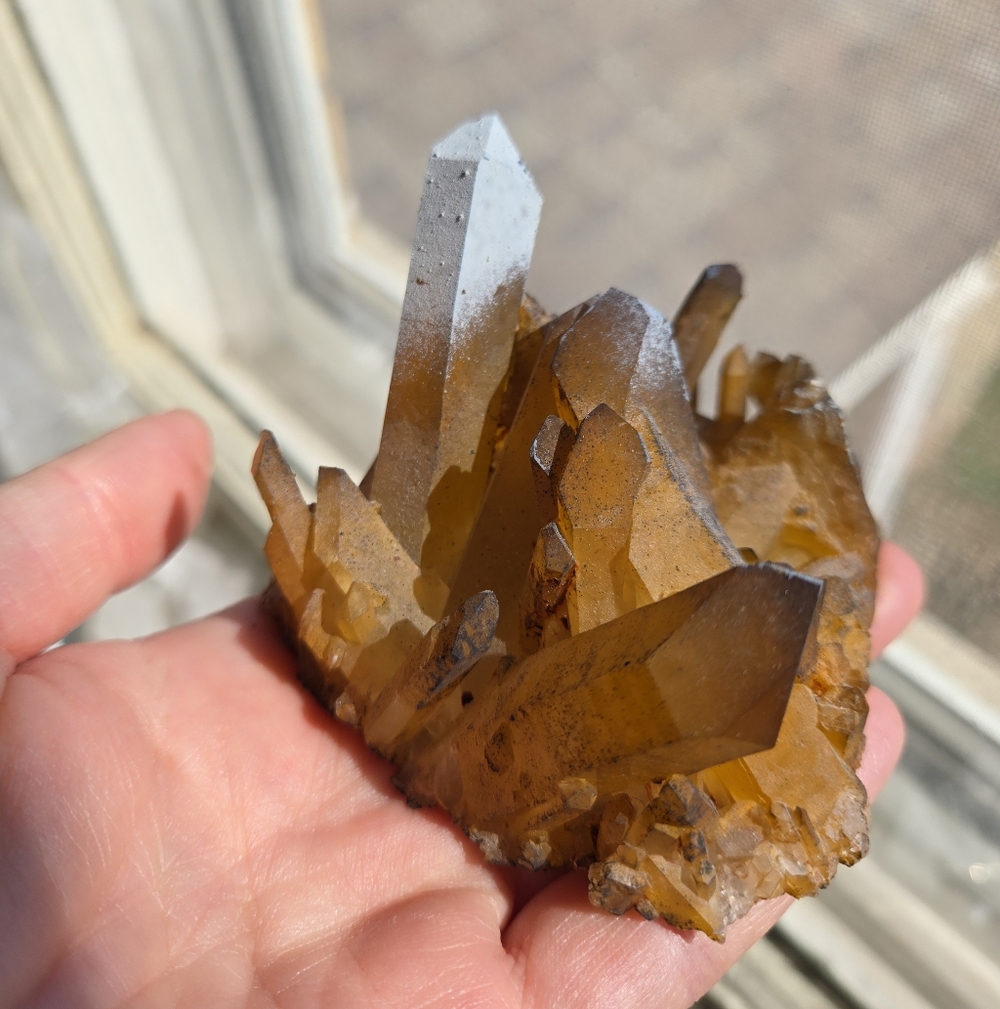 Solaris Quartz Cluster - Picture 8 of 10
